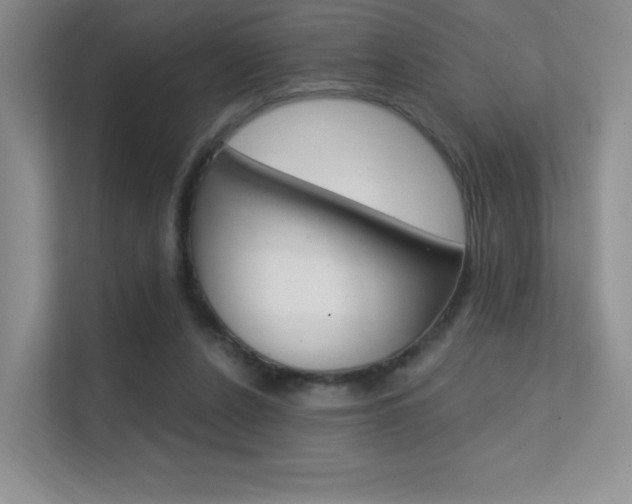 X0000112350256200908131020