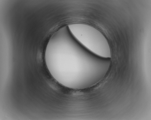 X0000112350258200908131020
