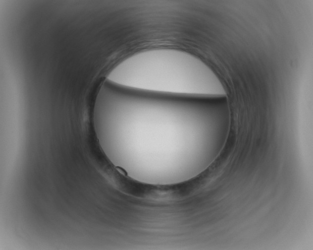 X0000112350260200908131020