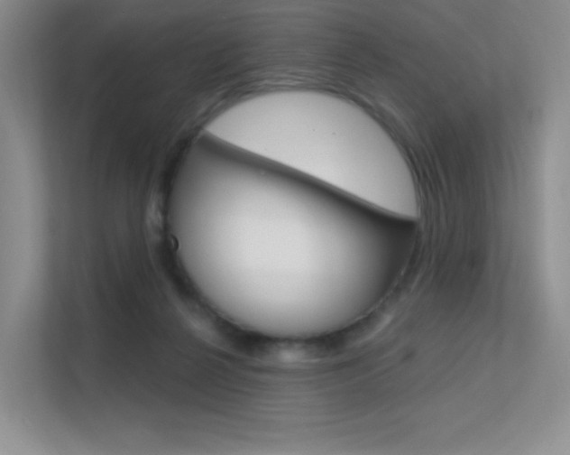 X0000112350264200908131020
