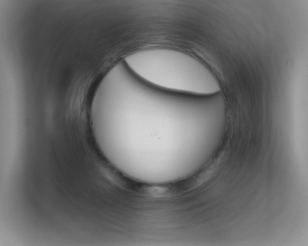 X0000112350265200908131020
