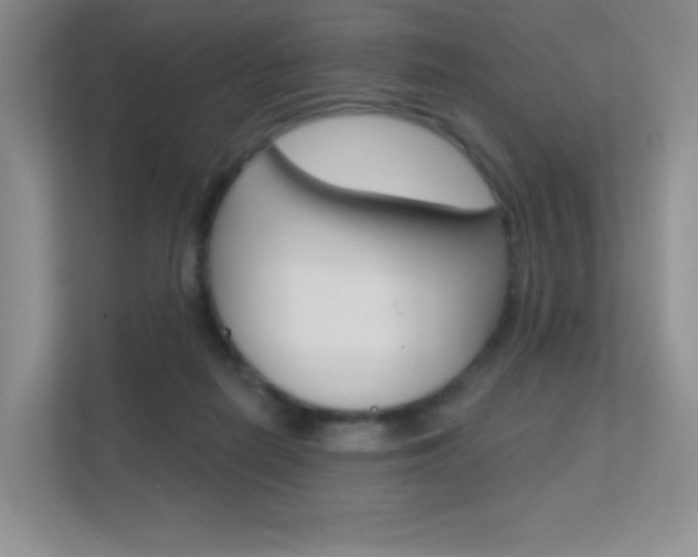 X0000112350266200908131020