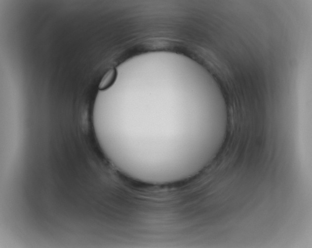 X0000112350267200908131020