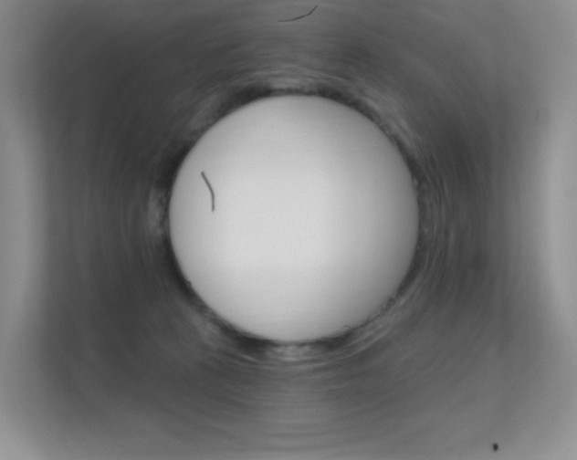 X0000112350273200908131020