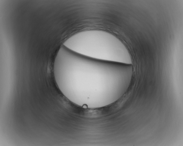 X0000112350277200908131020