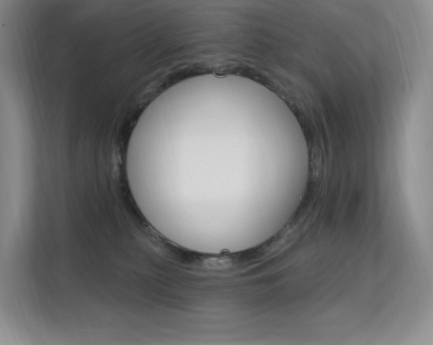 X0000112350279200908131020