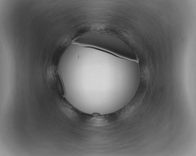 X0000112350280200908131020