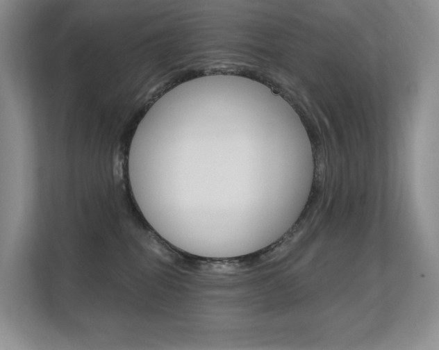 X0000112350282200908131020