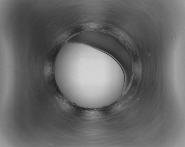 X0000112350284200908131020