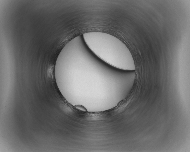 X0000112350286200908131020