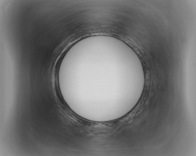 X0000112350290200908131020