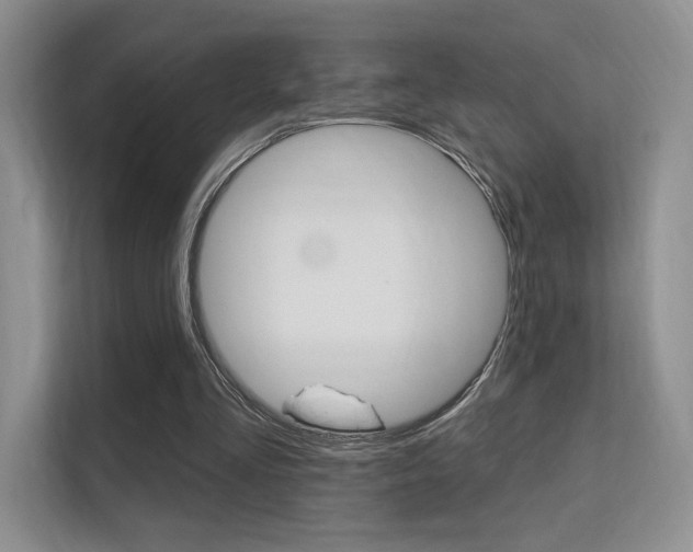 X0000112350293200908131020