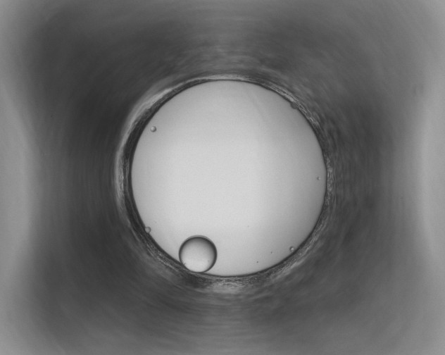 X0000112350294200908131020