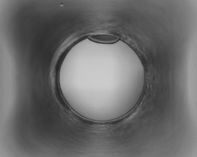 X0000112350295200908131020