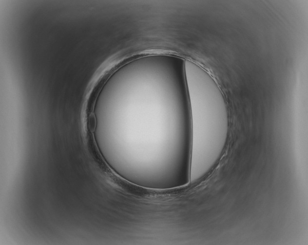 X0000112350296200908131019