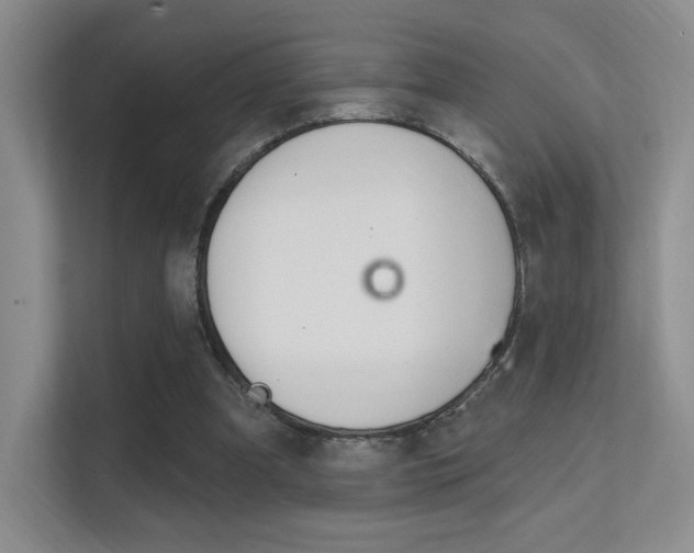 X0000112350297200908131019