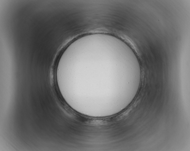 X0000112350298200908131019