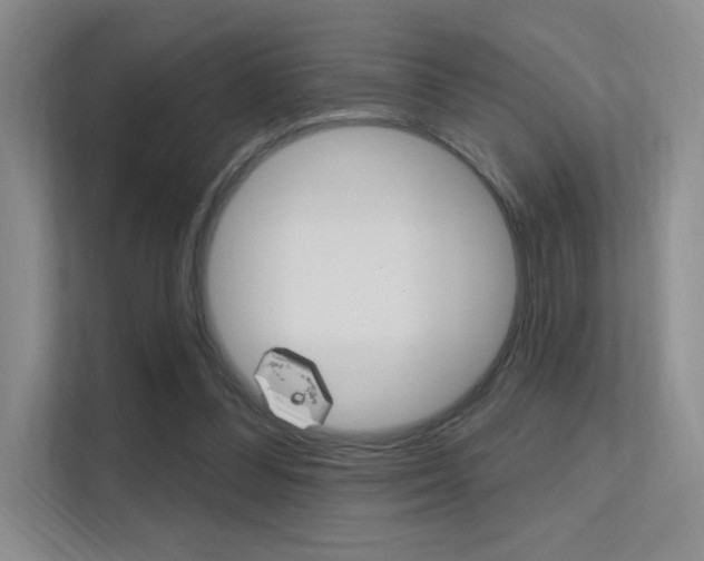 X0000112350300200908131019