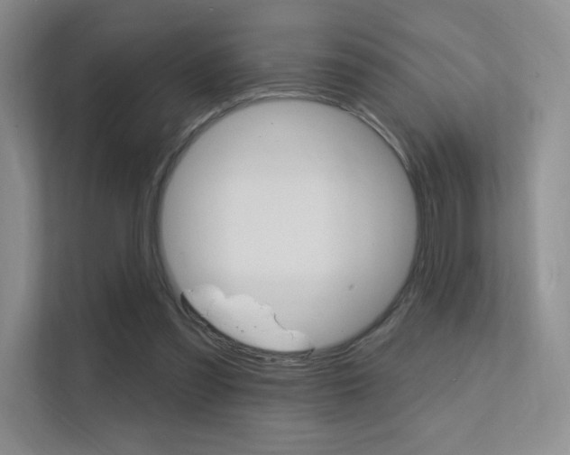 X0000112350301200908131019