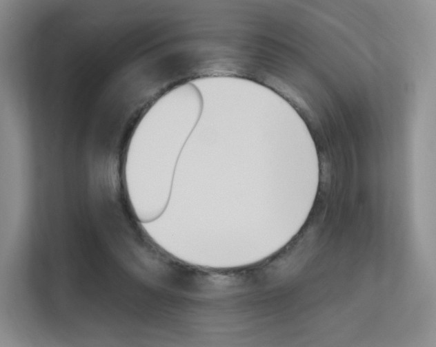 X0000112350302200908131019
