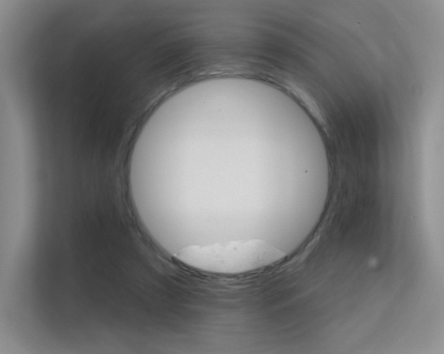 X0000112350305200908131019