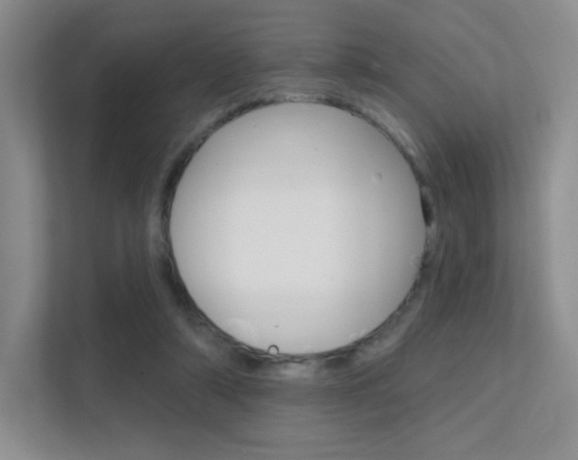 X0000112350306200908131019