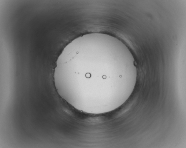 X0000112350307200908131019