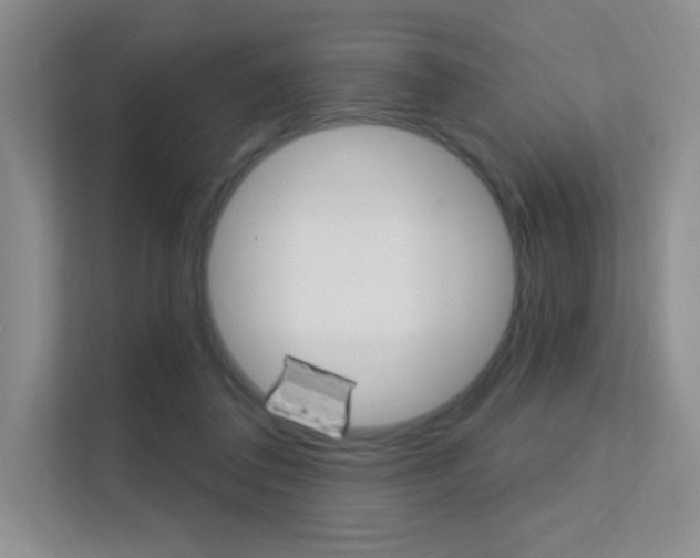 X0000112350308200908131019