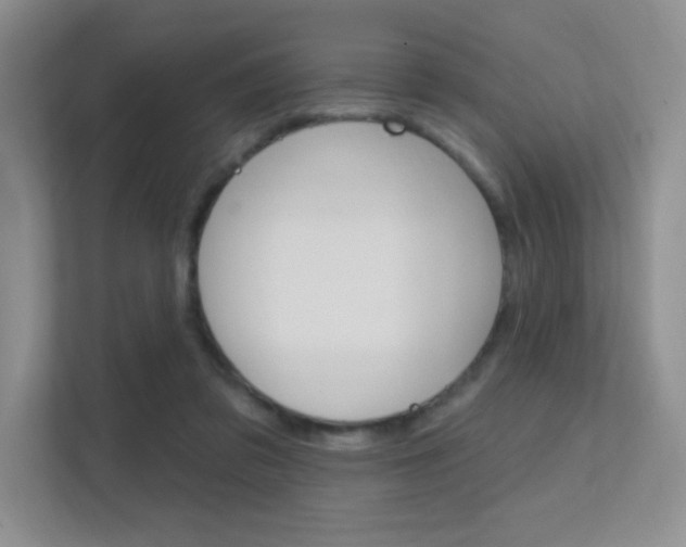 X0000112350309200908131019