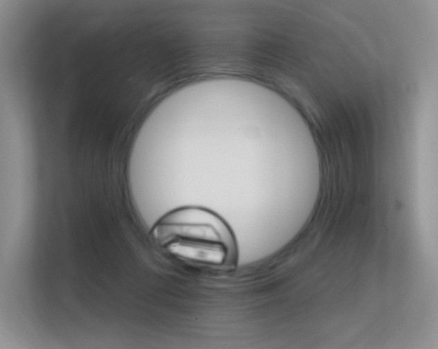 X0000112350312200908131019