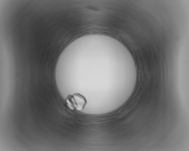 X0000112350320200908131019