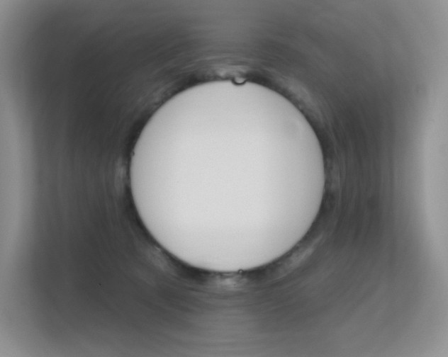 X0000112350321200908131019