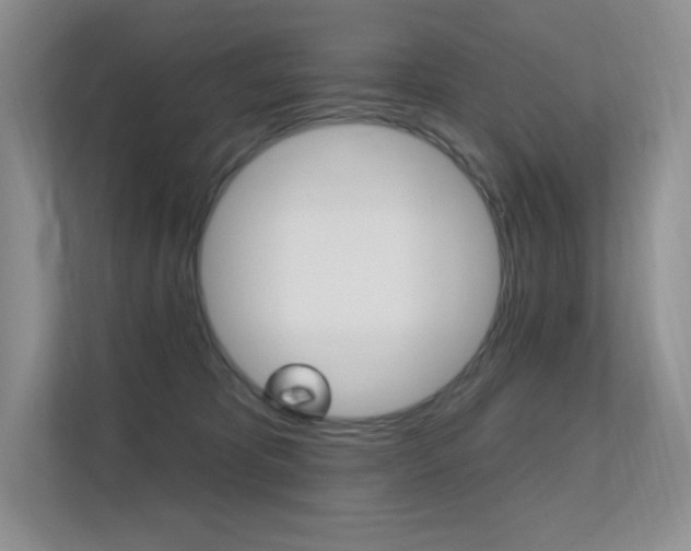 X0000112350325200908131019