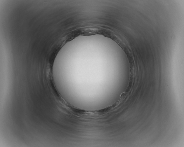 X0000112350328200908131019