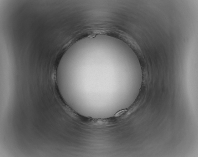 X0000112350329200908131019