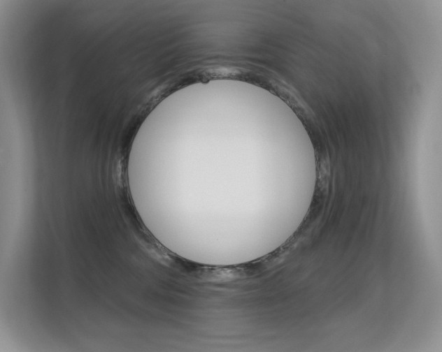 X0000112350330200908131019