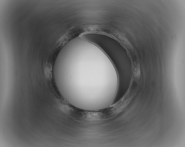 X0000112350332200908131019