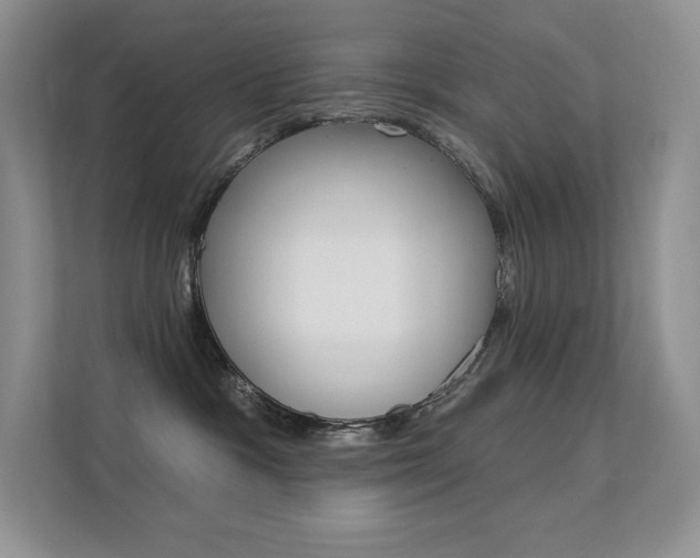 X0000112350333200908131019