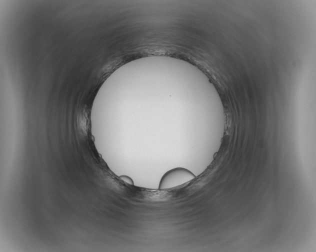 X0000112350334200908131019