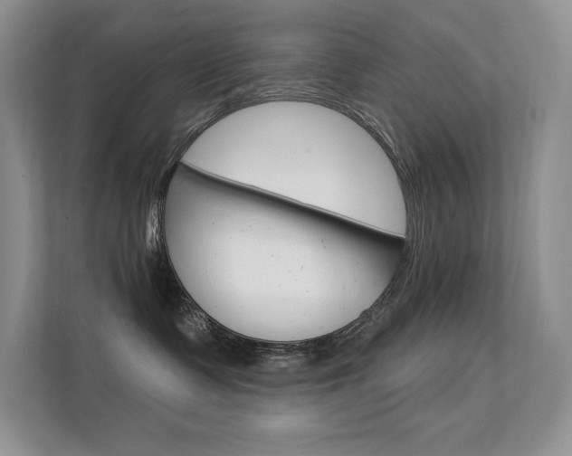 X0000112350335200908131019