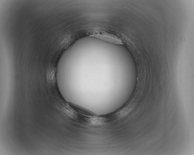 X0000112350336200908131019