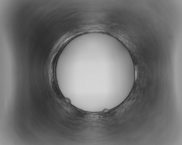 X0000112350339200908131018