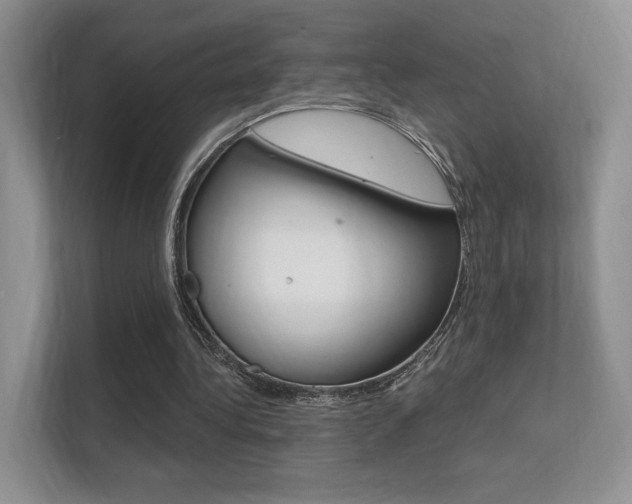 X0000112350340200908131018