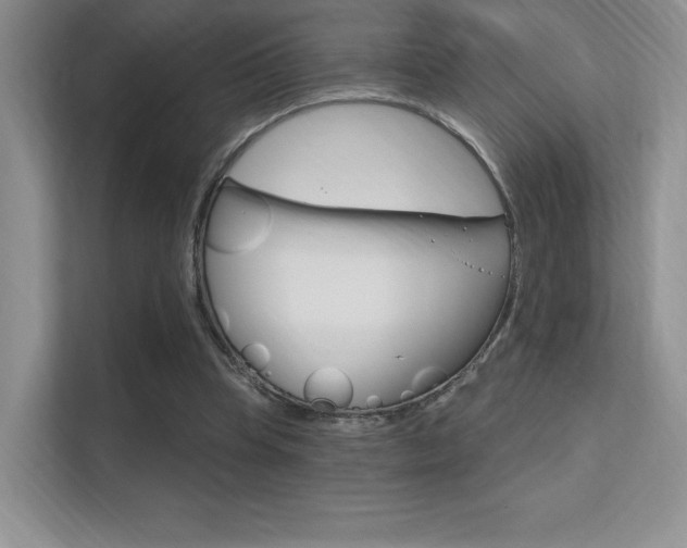 X0000112350345200908131018