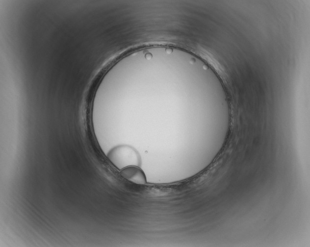 X0000112350346200908131018