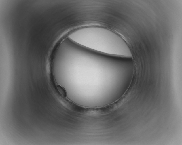 X0000112350350200908131019