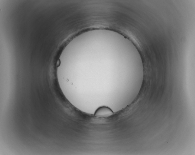 X0000112350354200908131019