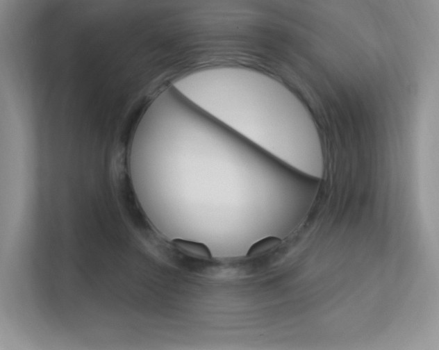 X0000112350356200908131019