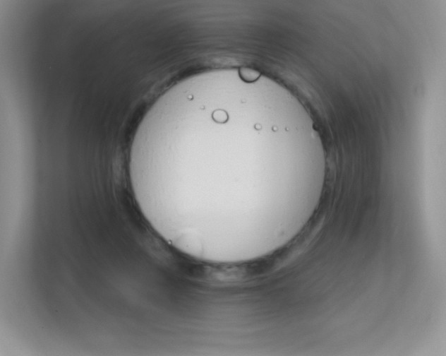 X0000112350359200908131019
