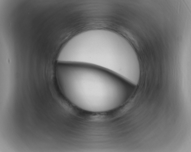 X0000112350362200908131019